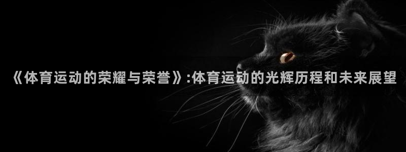 风速体育app官方下载
