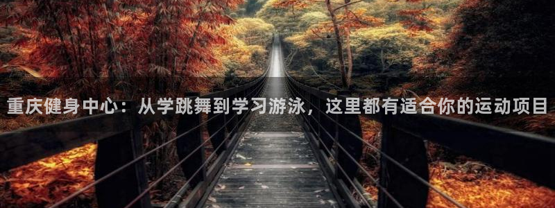 风速体育