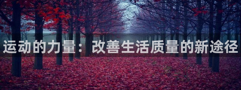 风速体育app下载官网最新版