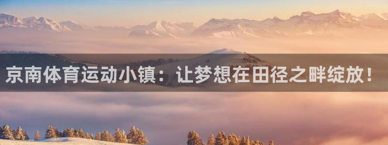 风速体育官网