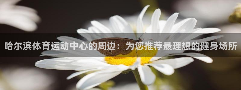 风速体育app