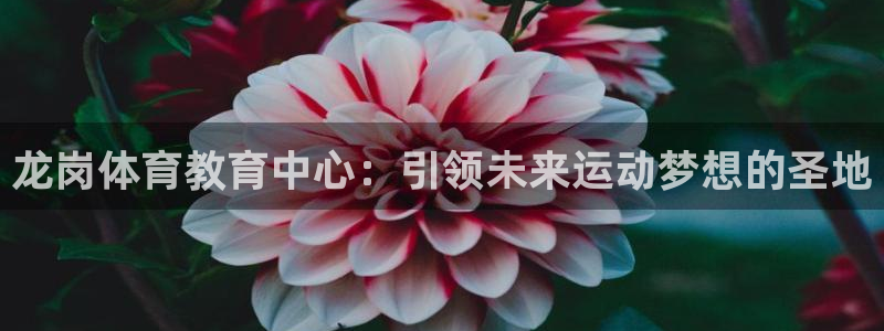 风速体育官网：龙岗体育教育中心：引领未来运动梦想的圣地