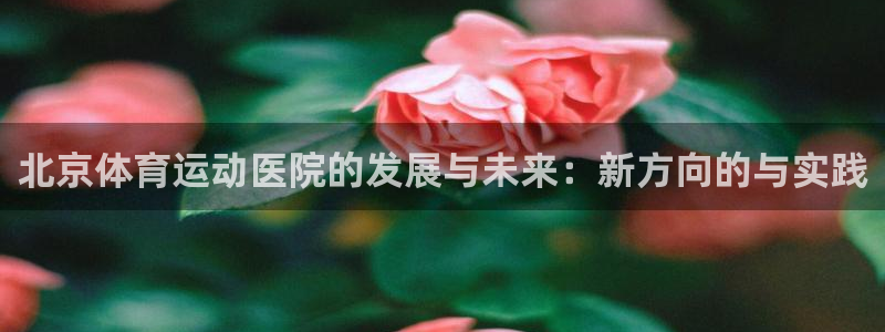 风速体育nba免费直播：北京体育运动医院的发展与未来：新方向的与实践