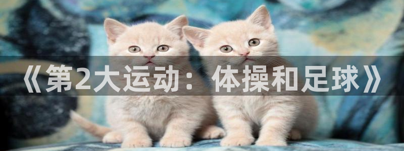 风速体育：《第2大运动：体操和足球》