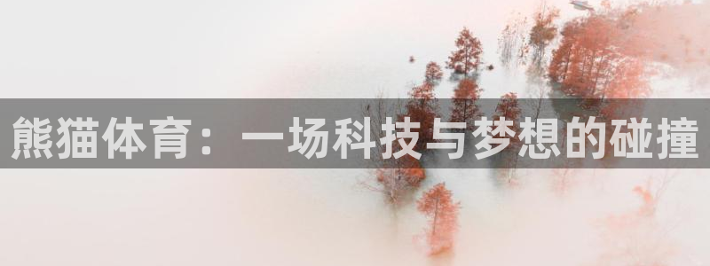 风速体育app官方下载：熊猫体育：一场科技与梦想的碰撞