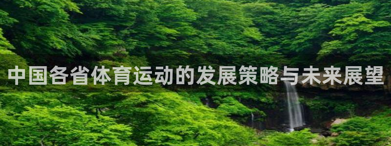 风速体育app官方下载：中国各省体育运动的发展策略与未来展望