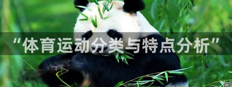 风速体育app下载官网最新版：“体育运动分类与特点分析”