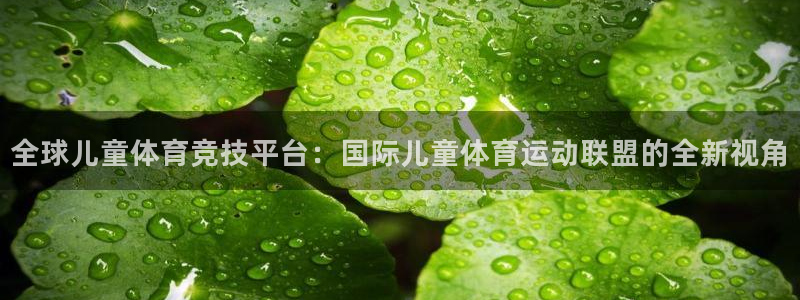 风速体育app：全球儿童体育竞技平台：国际儿童体育运动联盟的全新视角